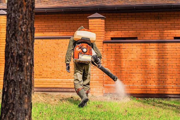 Bed Bug Clearance Verification and Documentation in Bee Cave